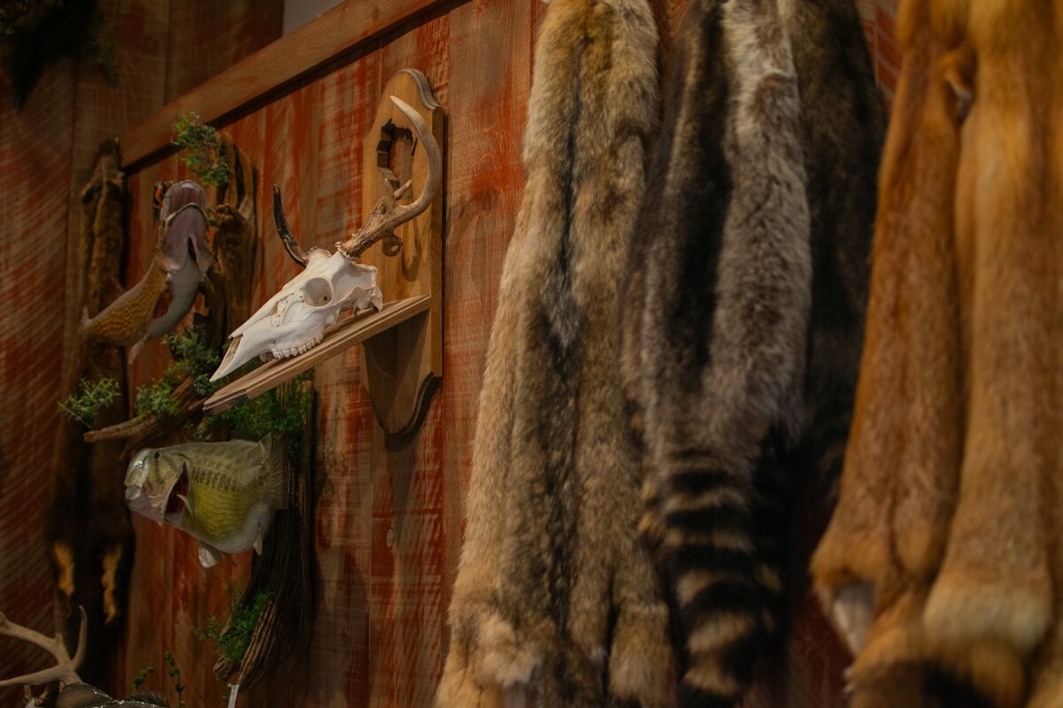 Ridge Top Taxidermy-14