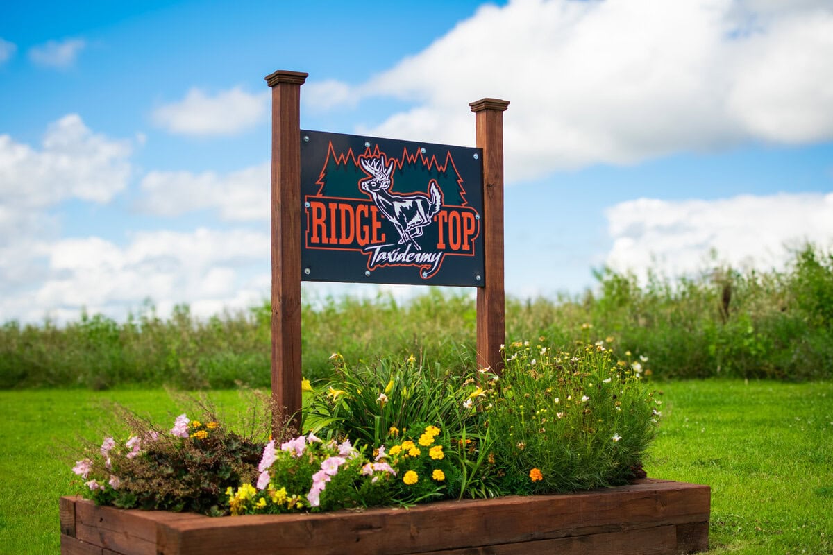 Ridge Top Taxidermy-20