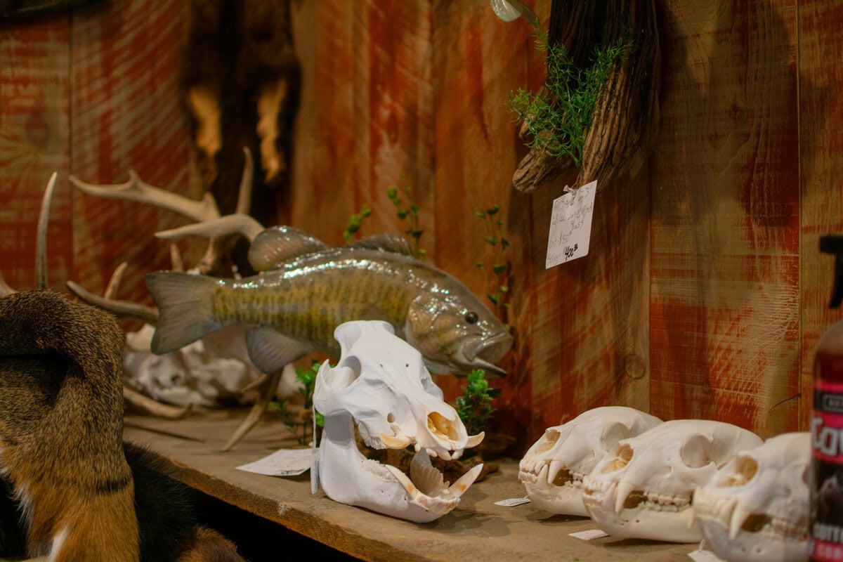 Ridge Top Taxidermy-21