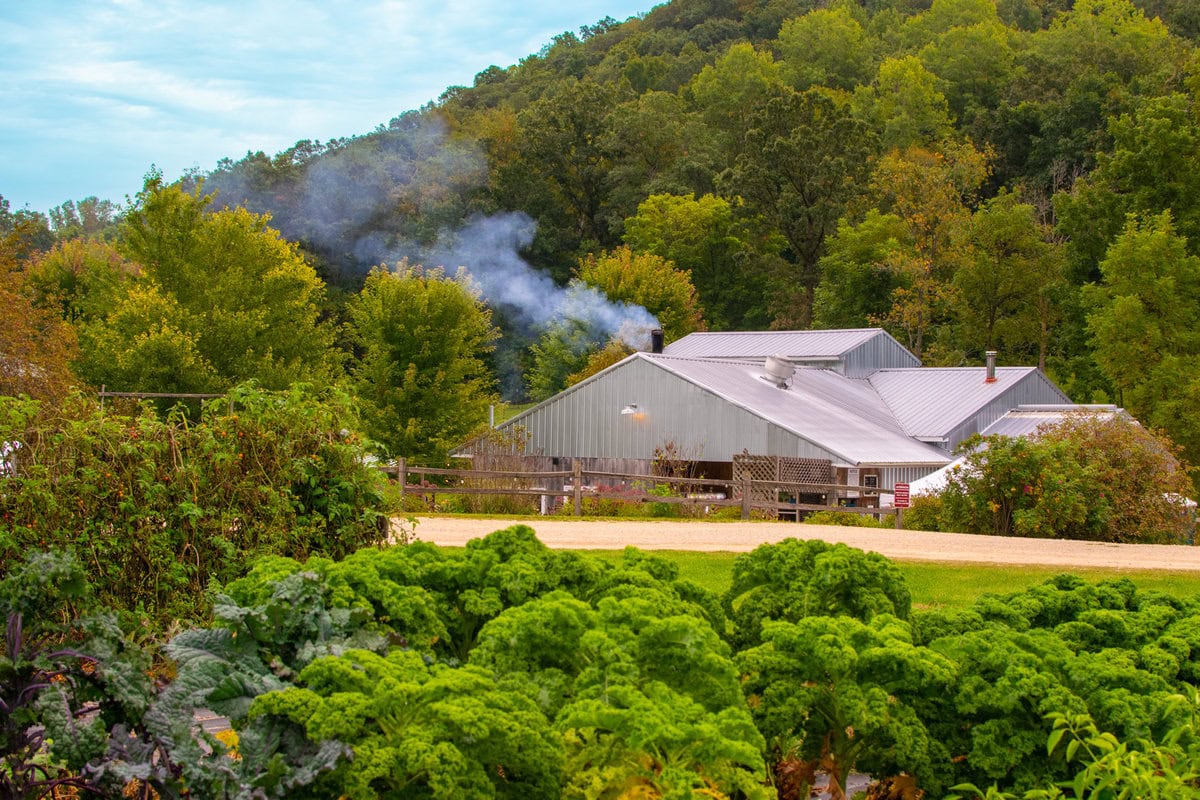 Suncrest Gardens Pizza Farm-36